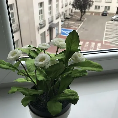 Appartstudio Viktoria Apartment *